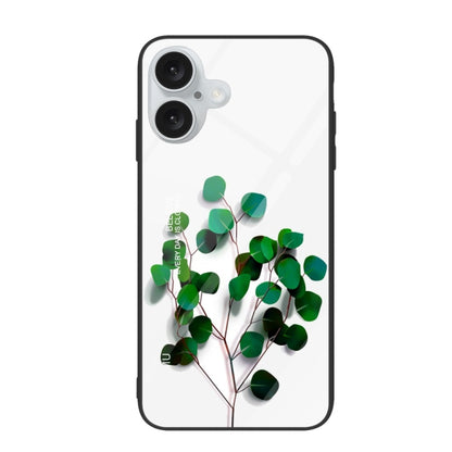 For iPhone 16 Plus Colorful Painted Glass Phone Case(Sapling) - iPhone 16 Plus Cases by buy2fix | Online Shopping UK | buy2fix