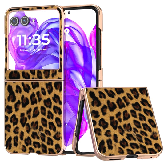 For Motorola Razr 50 Nano Plating Leopard Print Phone Case(Brown) - Motorola Cases by buy2fix | Online Shopping UK | buy2fix