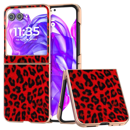 For Motorola Razr 50 Nano Plating Leopard Print Phone Case(Red) - Motorola Cases by buy2fix | Online Shopping UK | buy2fix