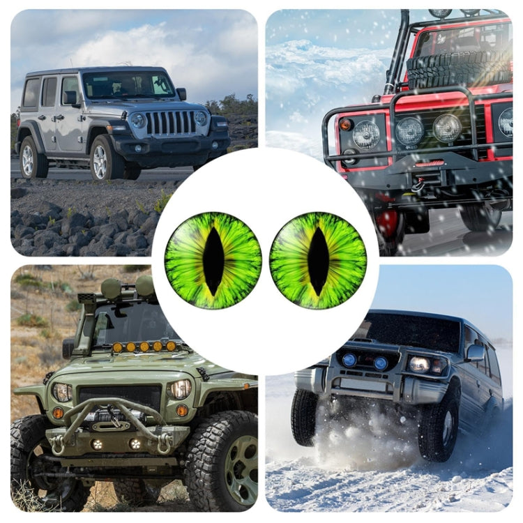 1pair Beast Eyes Headlight Decorative Stickers Off-Road Vehicle Front Lights Stereo Decals, Style: 6 - Lamp Decoration by buy2fix | Online Shopping UK | buy2fix