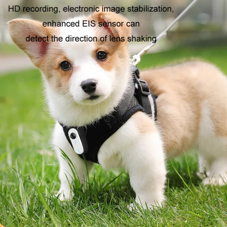 HD Outdoor Portable Pet Recorder Cycling Sports Camera, Specifications: With Silicone Collar+32G TF Card - Video Cameras by buy2fix | Online Shopping UK | buy2fix