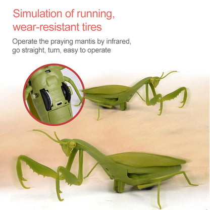 6661 Infrared Sensor Remote Control Simulated Praying Mantis Creative Children Electric Tricky Toy Model -  by buy2fix | Online Shopping UK | buy2fix