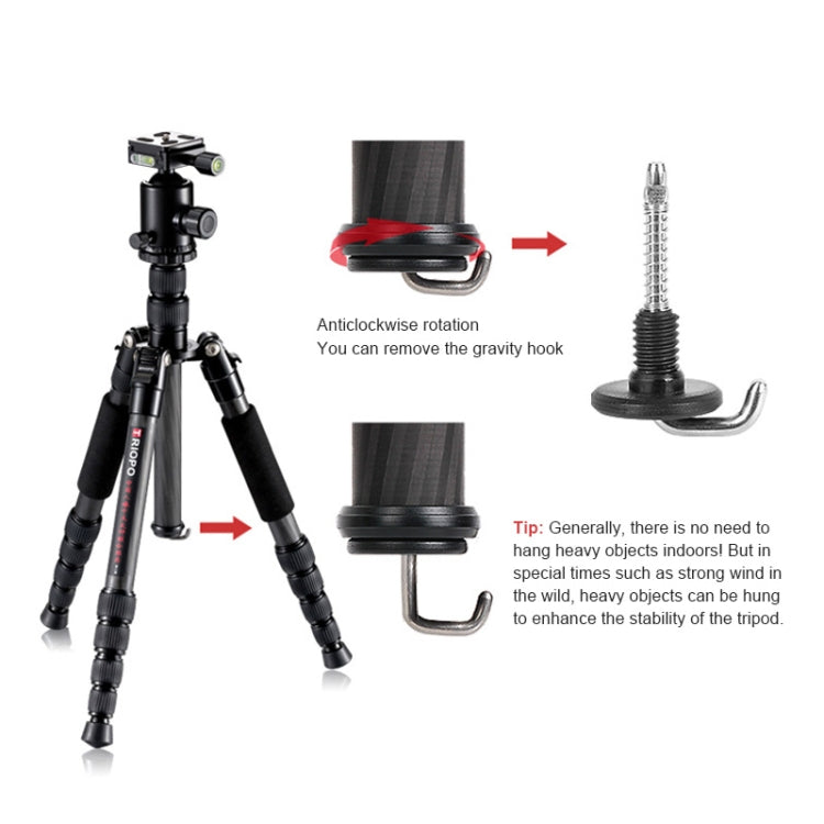 TRIOPO T259G+Q2 Adjustable Portable Carbon Fiber Tripod with Q-2 Ball Head for SLR Camera - Camera Accessories by TRIOPO | Online Shopping UK | buy2fix