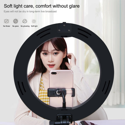 PULUZ 10.2 inch 26cm USB 3 Modes Dimmable Dual Color Temperature LED Curved  Ring Vlogging Selfie Photography Video Lights with Bluetooth Remote Shutter & Folding Desktop Holder & Phone Clamp(Black) - Ring Light by PULUZ | Online Shopping UK | buy2fix