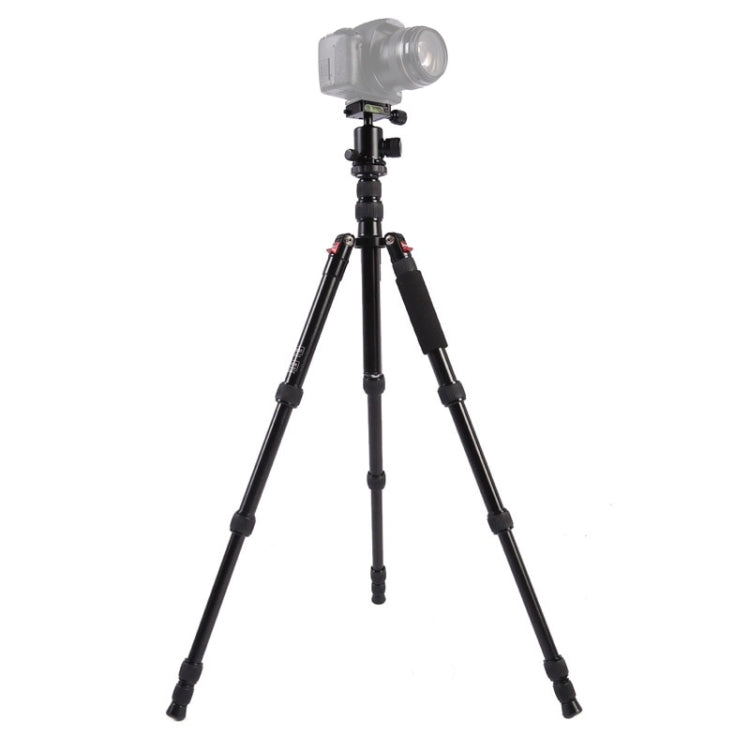 Triopo MT-2505C Adjustable Portable Aluminum Tripod with NB-1S Ball Head for Canon Nikon Sony DSLR Camera(Black) - Tripods by TRIOPO | Online Shopping UK | buy2fix