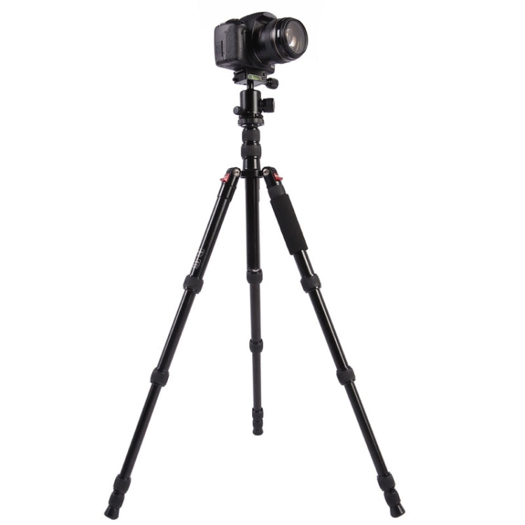 Triopo MT-2505C Adjustable Portable Aluminum Tripod with NB-1S Ball Head for Canon Nikon Sony DSLR Camera(Black) - Tripods by TRIOPO | Online Shopping UK | buy2fix