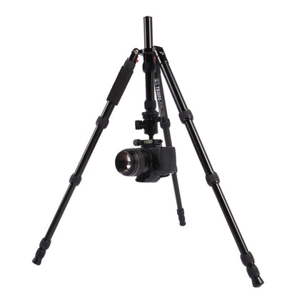 Triopo MT-2505C Adjustable Portable Aluminum Tripod with NB-1S Ball Head for Canon Nikon Sony DSLR Camera(Black) - Tripods by TRIOPO | Online Shopping UK | buy2fix