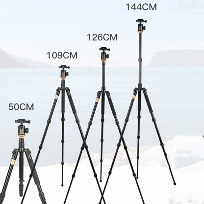 QingZhuangShiDai Q999S Portable Projector Photography Camera Live Gimbal Tripod(Black) - Stand by QingZhuangShiDai | Online Shopping UK | buy2fix